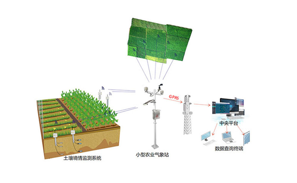 智慧農業小型氣象監測站 智慧農業氣象監測
